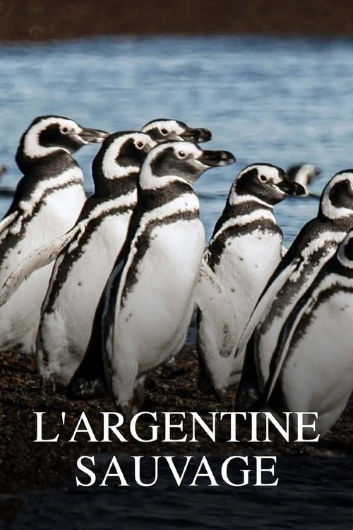 Affiche de L'Argentine sauvage