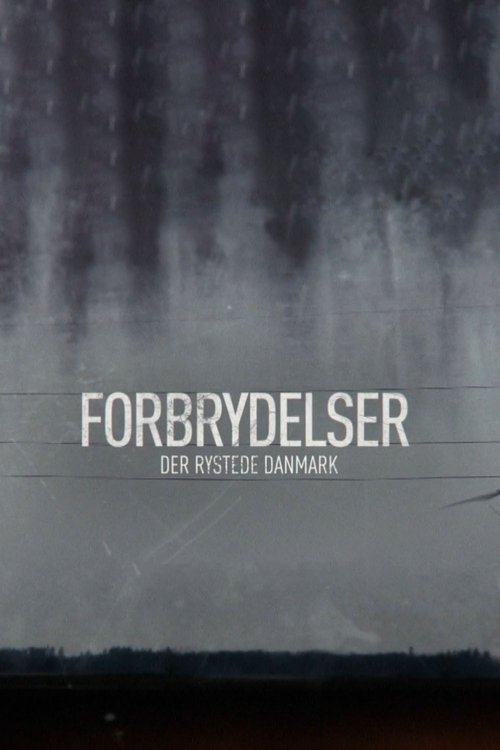 Forbrydelser der rystede Danmark
