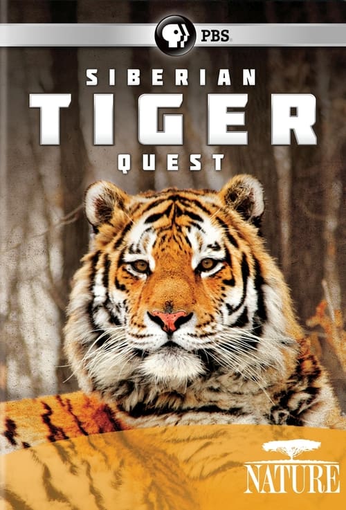 Poster Siberian Tiger Quest 2012