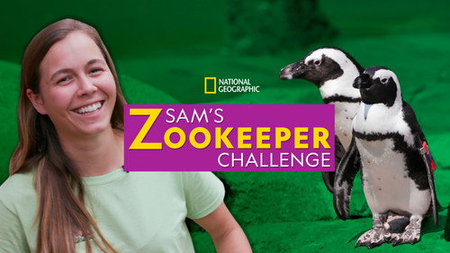 Sam's Zookeeper Challenge — Backdrops 2