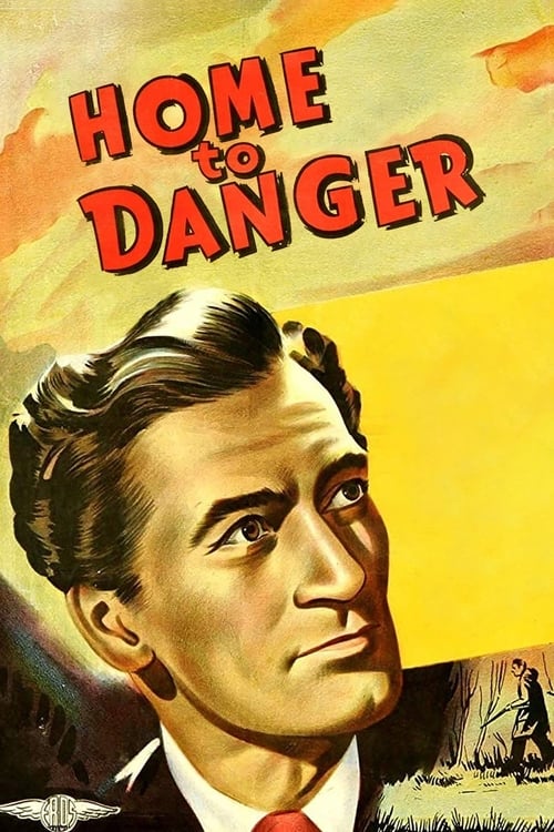 Home To Danger poster