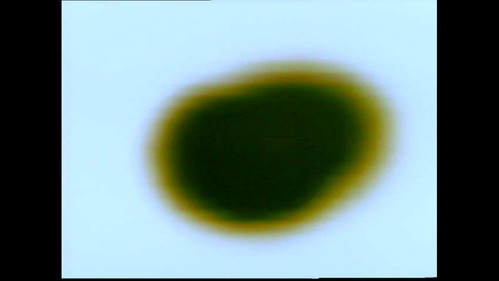 Transmission Lost and Found