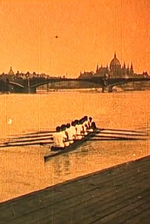 Budapest movie poster player