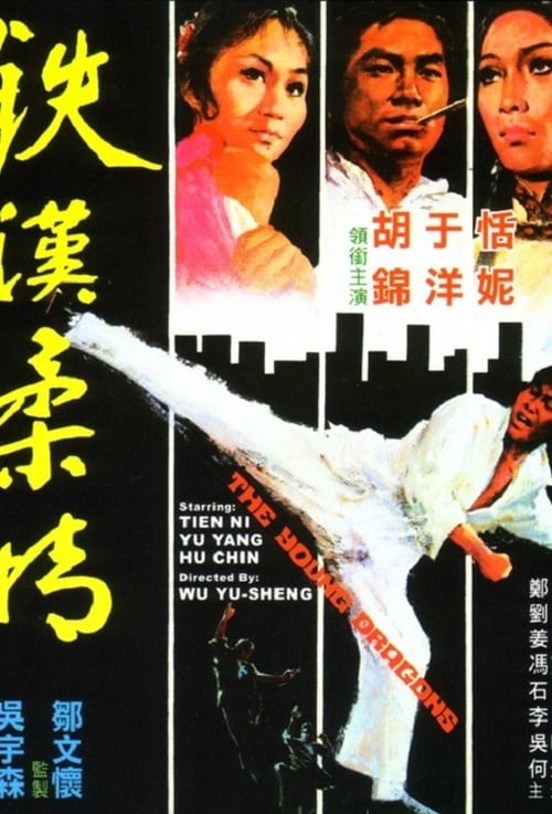 鐵漢柔情 (1974) poster