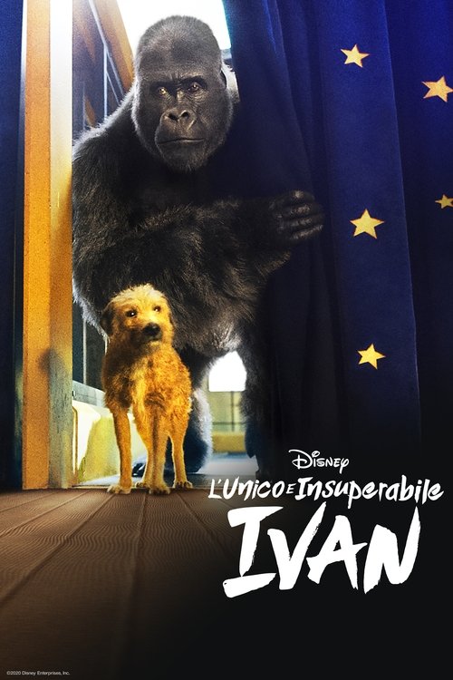 Posters