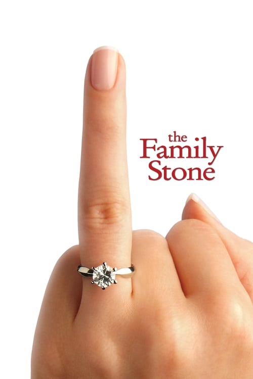 Grootschalige poster van The Family Stone