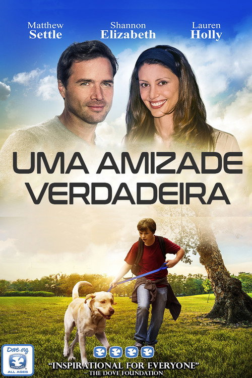 Marshall's Miracle poster