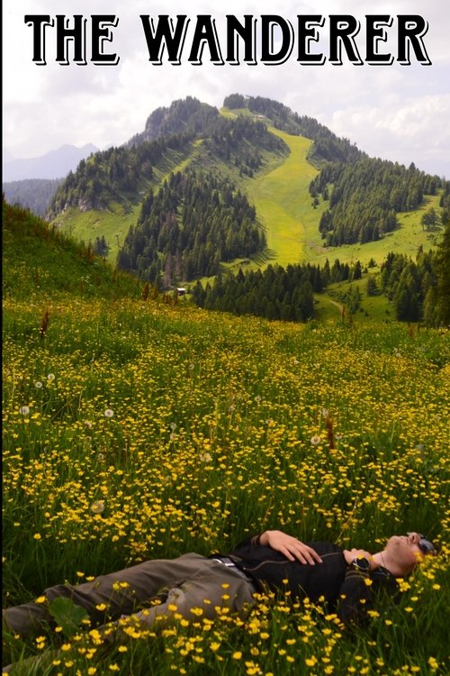 The Wanderer