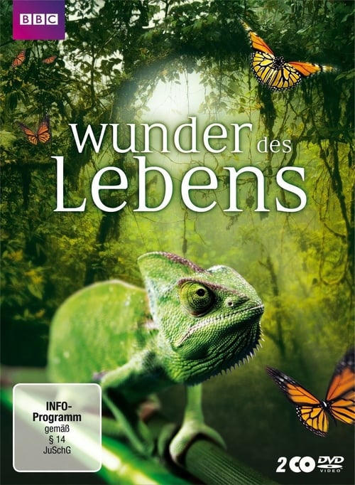 Wunder des Lebens