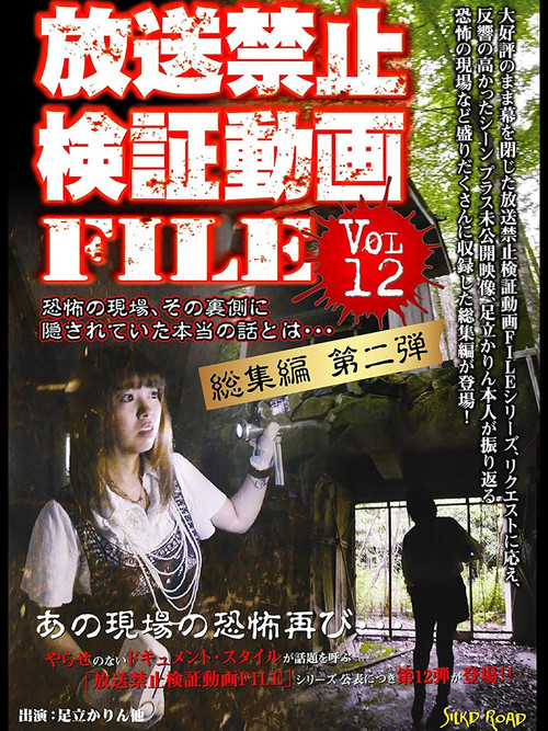 Banned Video File Vol. 12