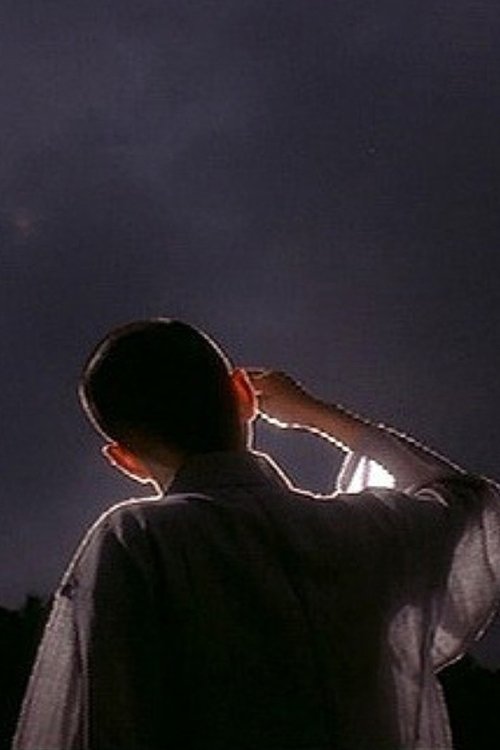 UFO: Unidentified Following Object (2005) poster