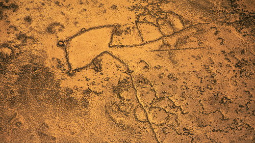 The Mystery of the Desert Kites