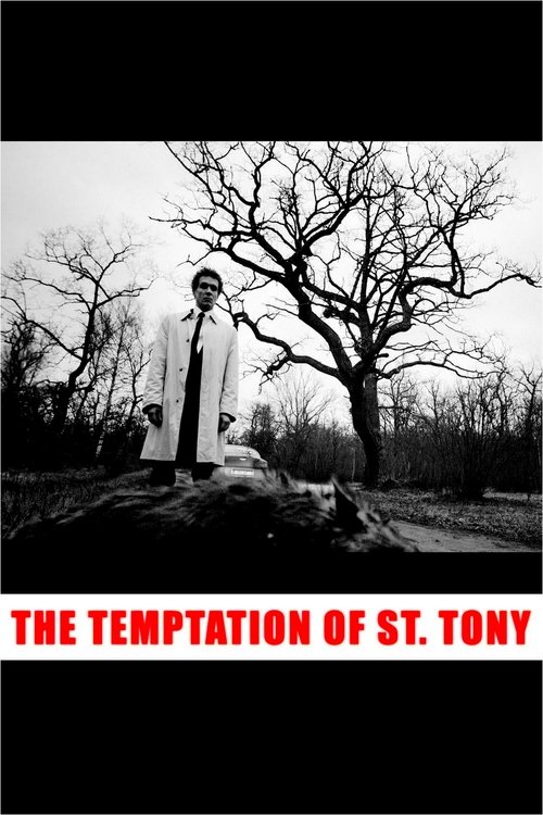 The Temptation of St. Tony poster