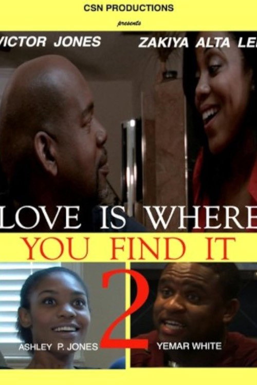 Love Is Where You Find It 2 포스터