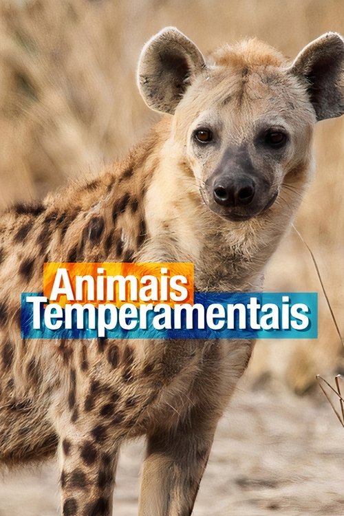 Animais Temperamentais poster