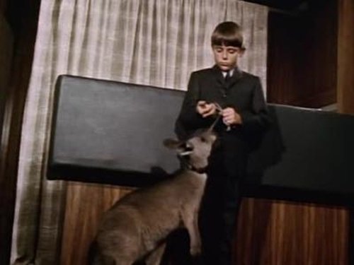 Skippy the Bush Kangaroo, S01E32 - (1968)