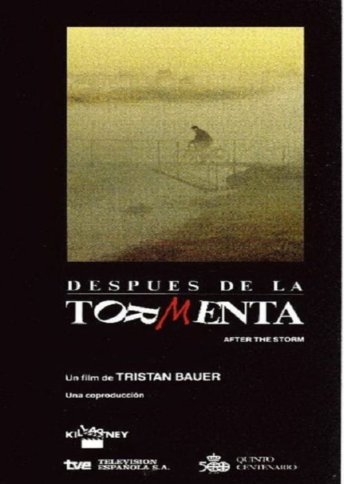 Después de la tormenta (1991)