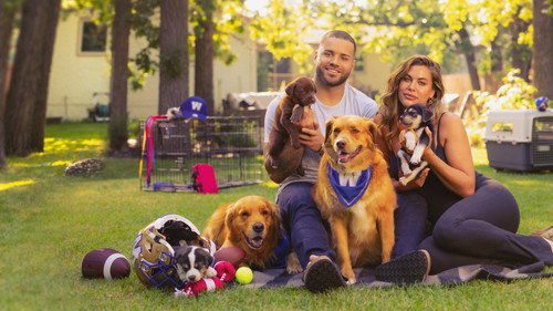 Must Love Dogs - Season 1 Backdrop Blur