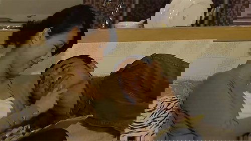 Image de l'épisode 2