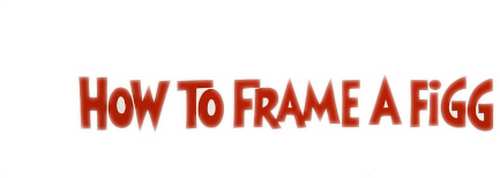 How to Frame a Figg