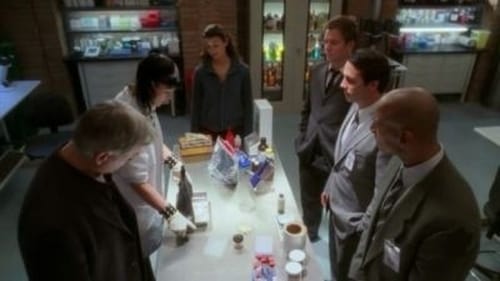 Poster della serie NCIS