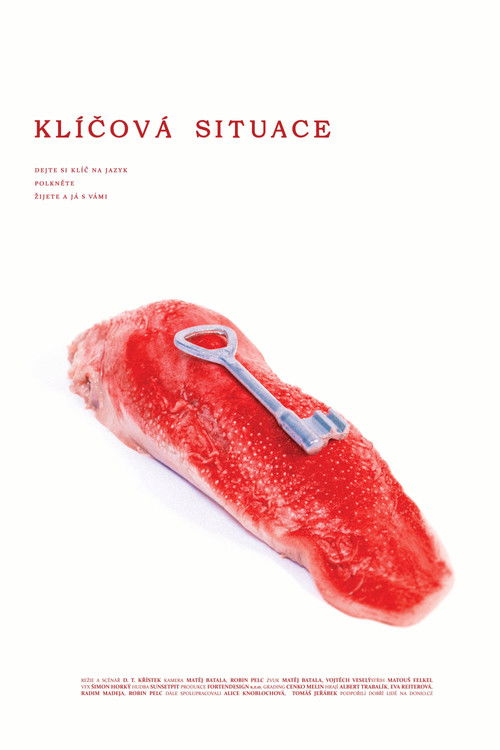 Klíčová situace poster