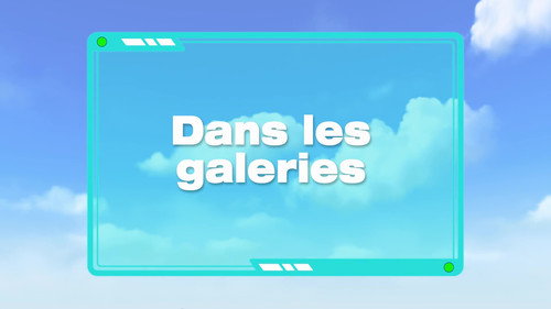 Image Dans les galeries