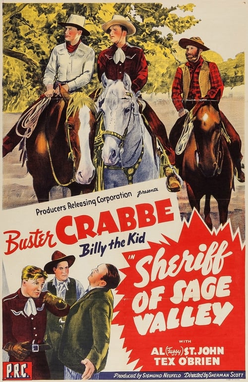 Sheriff Of Sage Valley poster