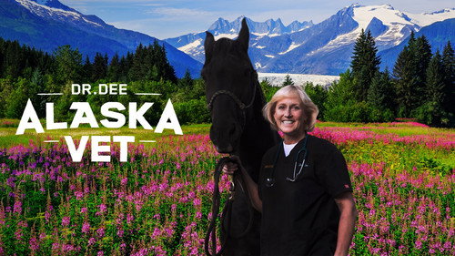 Dr. Dee: Alaska Vet