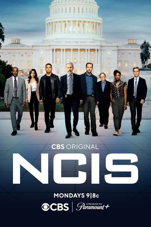 Where to stream NCIS Season 20