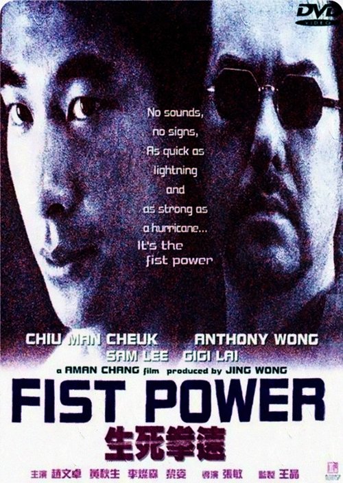 Fist Power 2000