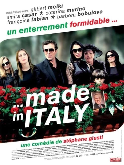 Made in Italy (2008)