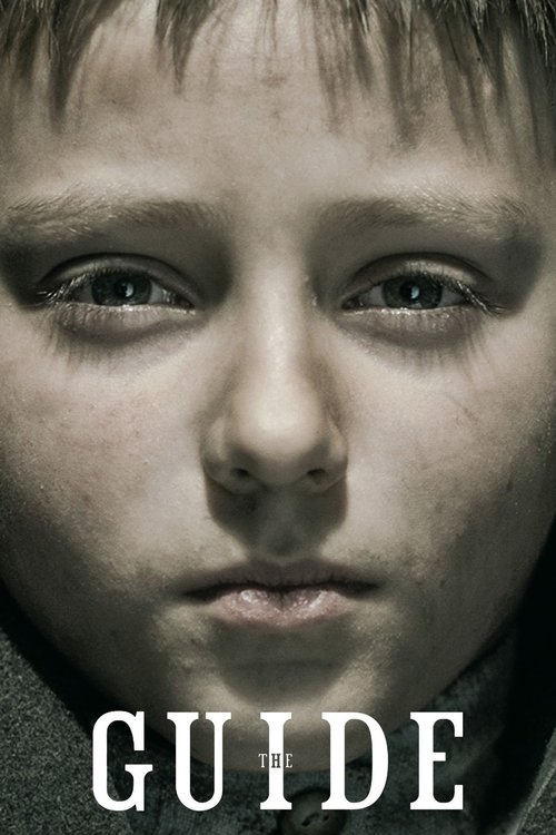 Poster 3