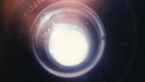 Image du film