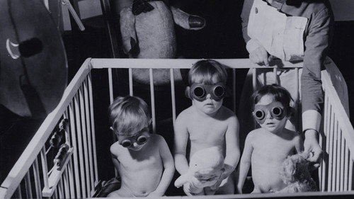 Precarious Parenting
