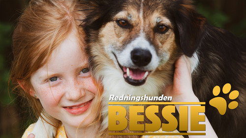 Redningshunden Bessie Backdrop Blur