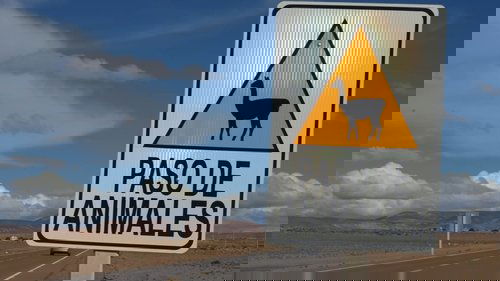 Image de l'épisode 11