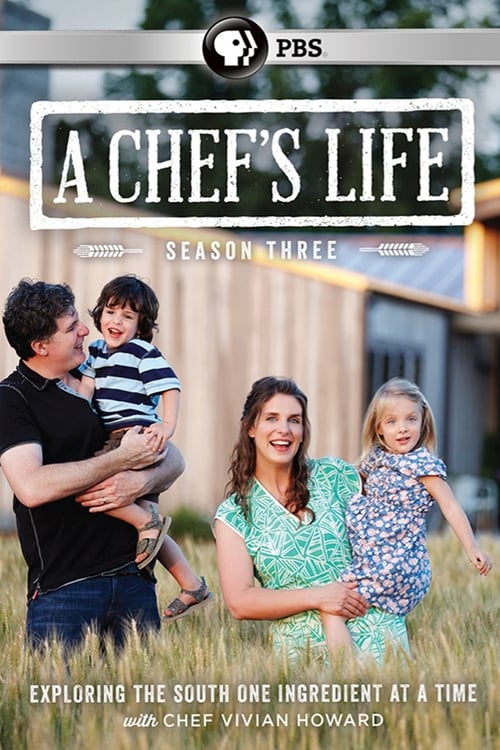 Where to stream A Chef's Life Season 3