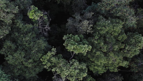 Katurãma: uma história de luta e resistência - imagem 4