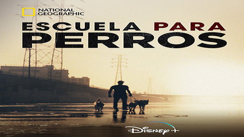 Escuela para perros - Season 1 Backdrop Blur