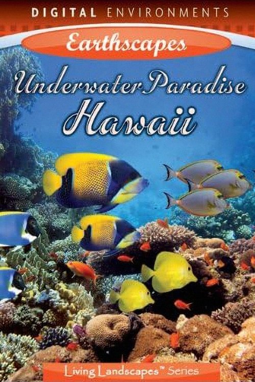 Hawaii Underwater Paradise poster