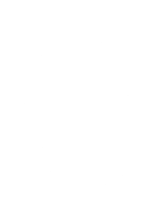 The Boy Next Door