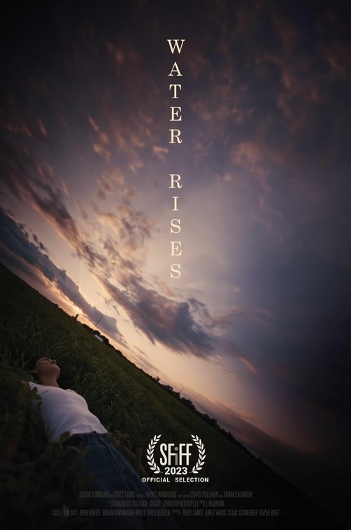 Poster 3