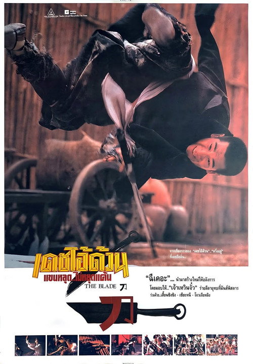 โปสเตอร์หนัง The Blade (1995) เดชไอ้ด้วน แขนหลุด ไม่หยุดแค้น