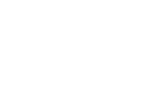 Case Closed: Zero the Enforcer