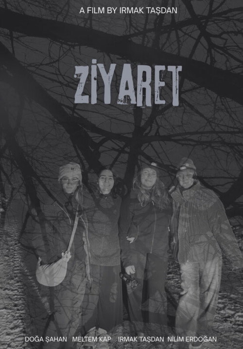 Ziyaret Poster Blur