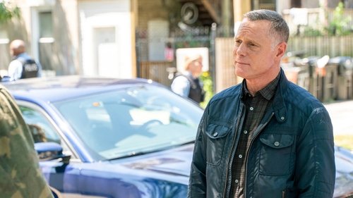 seriesflix chicago pd