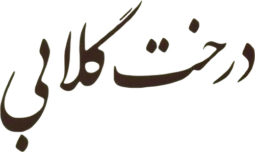 درخت گلابی