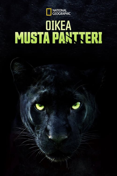 The Real Black Panther poster