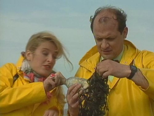 Image de l'épisode 11